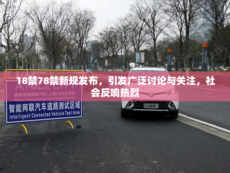 18禁78禁新规发布，引发广泛讨论与关注，社会反响热烈