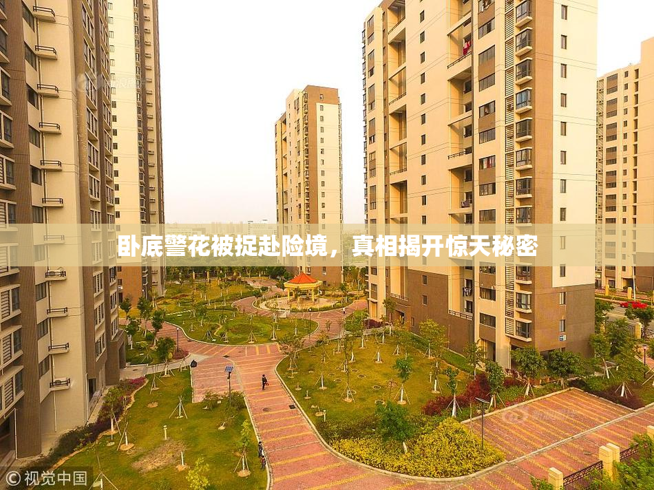 卧底警花被捉赴险境，真相揭开惊天秘密