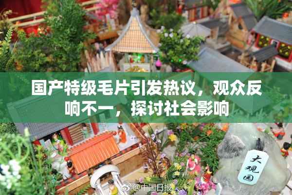 国产特级毛片引发热议，观众反响不一，探讨社会影响