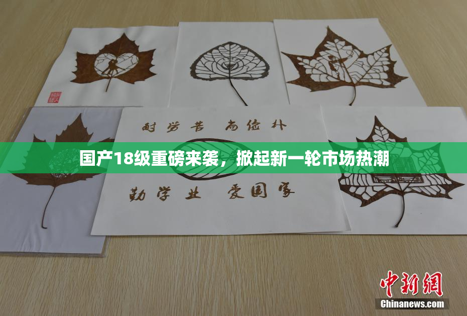 国产18级重磅来袭，掀起新一轮市场热潮