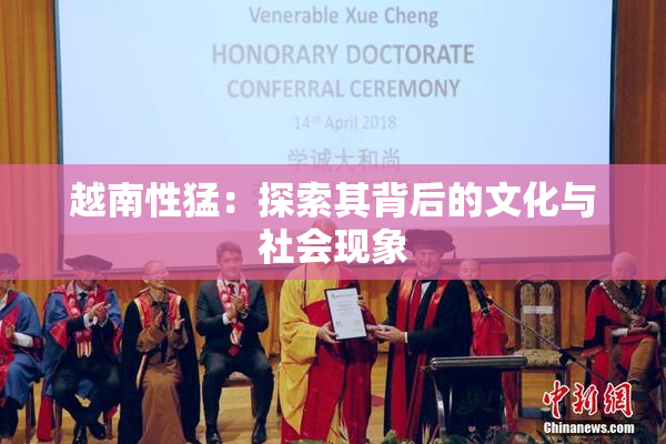 越南性猛：探索其背后的文化与社会现象