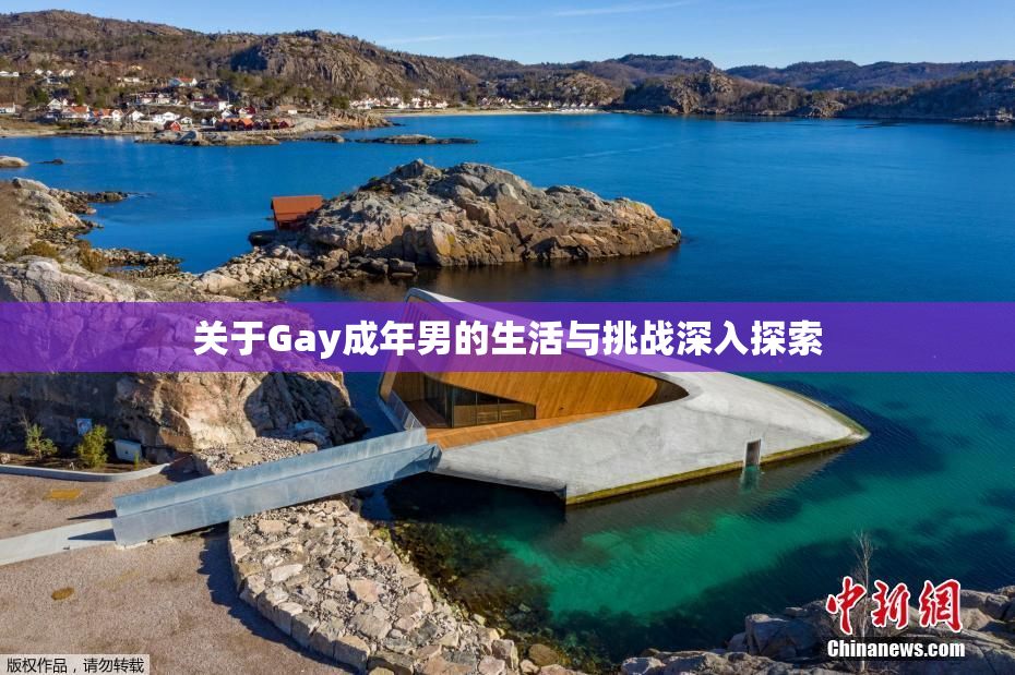 关于Gay成年男的生活与挑战深入探索