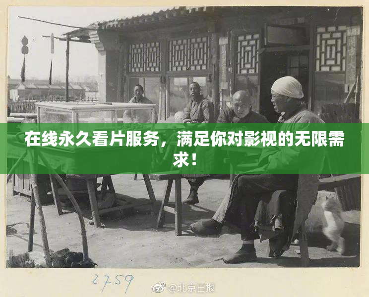 在线永久看片服务，满足你对影视的无限需求！