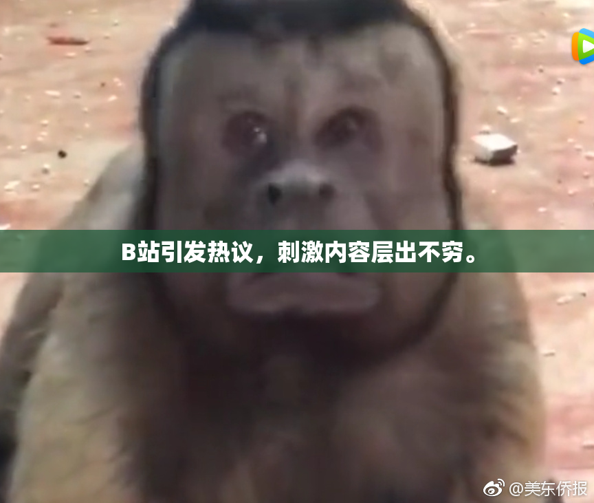 B站引发热议，刺激内容层出不穷。