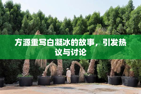 方源重写白凝冰的故事，引发热议与讨论
