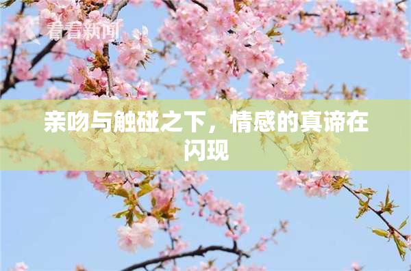 亲吻与触碰之下，情感的真谛在闪现