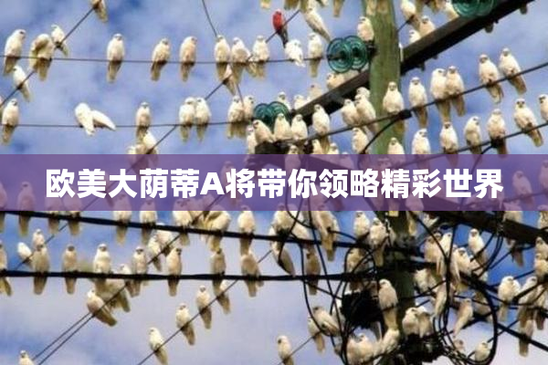 欧美大荫蒂A将带你领略精彩世界