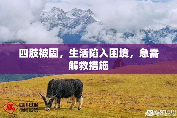 四肢被固，生活陷入困境，急需解救措施
