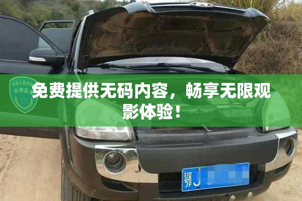 免费提供无码内容，畅享无限观影体验！