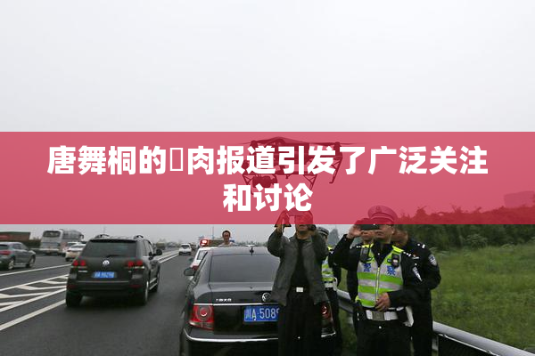 唐舞桐的婬肉报道引发了广泛关注和讨论