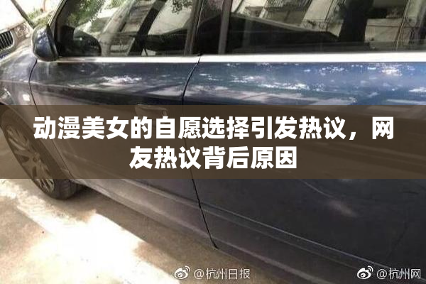 动漫美女的自愿选择引发热议，网友热议背后原因