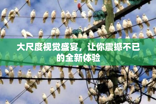 大尺度视觉盛宴，让你震撼不已的全新体验