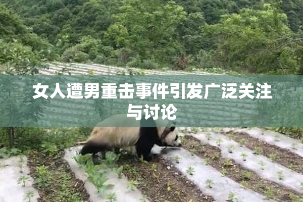 女人遭男重击事件引发广泛关注与讨论