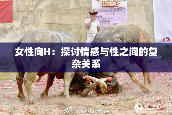 女性向H：探讨情感与性之间的复杂关系