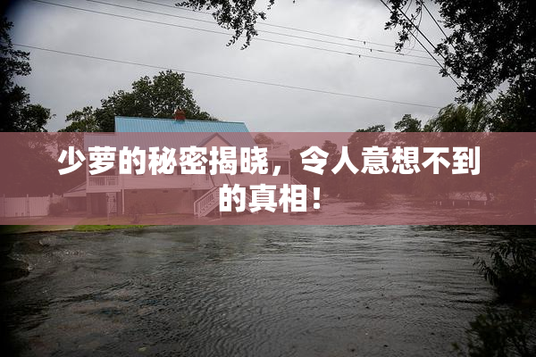 少萝的秘密揭晓，令人意想不到的真相！