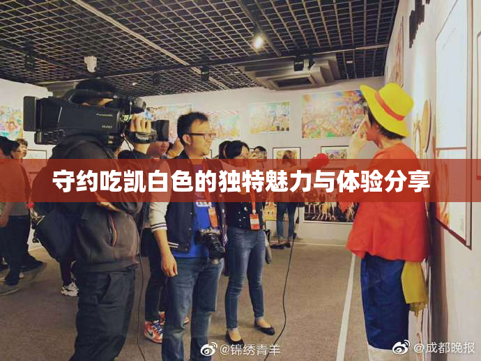 守约吃凯白色的独特魅力与体验分享