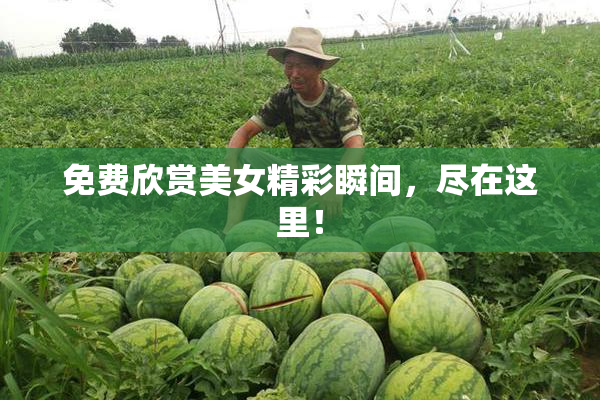 免费欣赏美女精彩瞬间，尽在这里！