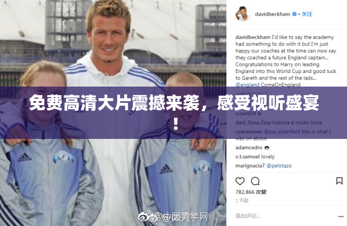 免费高清大片震撼来袭，感受视听盛宴！