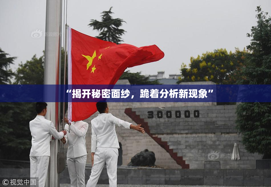 “揭开秘密面纱，跪着分析新现象”