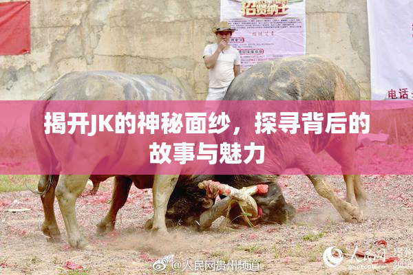 揭开JK的神秘面纱，探寻背后的故事与魅力