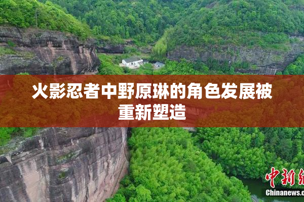 火影忍者中野原琳的角色发展被重新塑造