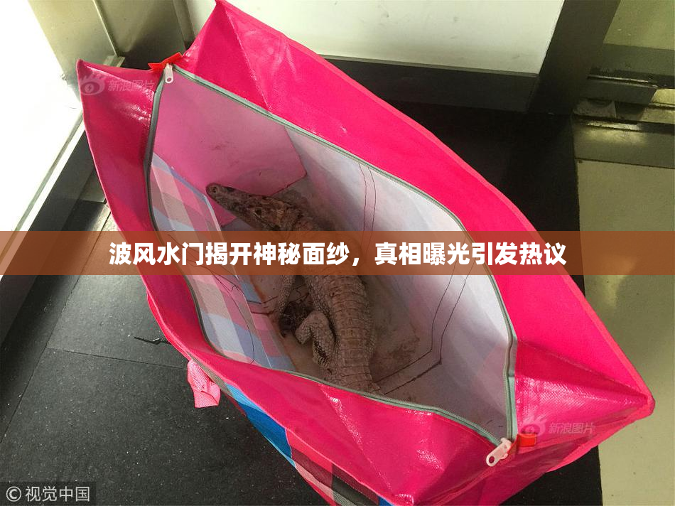 波风水门揭开神秘面纱，真相曝光引发热议
