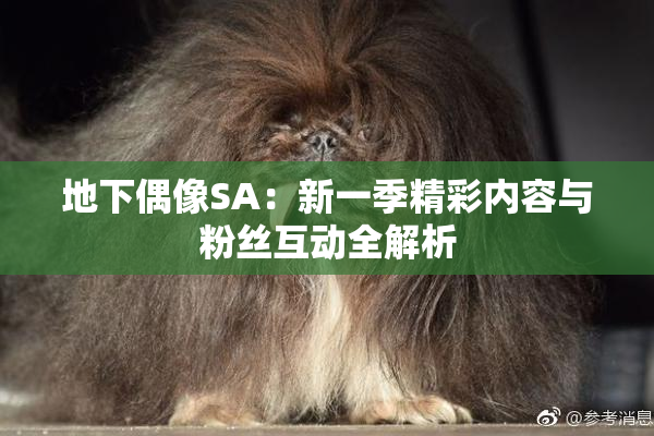 地下偶像SA：新一季精彩内容与粉丝互动全解析