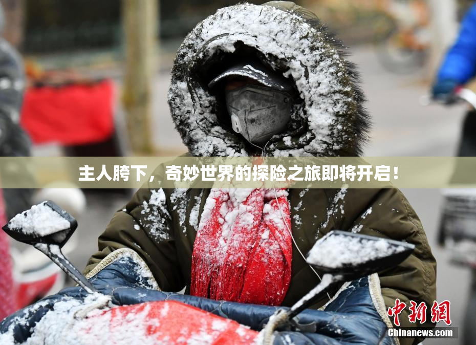主人胯下，奇妙世界的探险之旅即将开启！