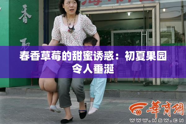春香草莓的甜蜜诱惑：初夏果园令人垂涎