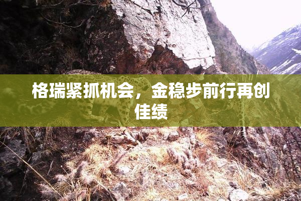 格瑞紧抓机会，金稳步前行再创佳绩