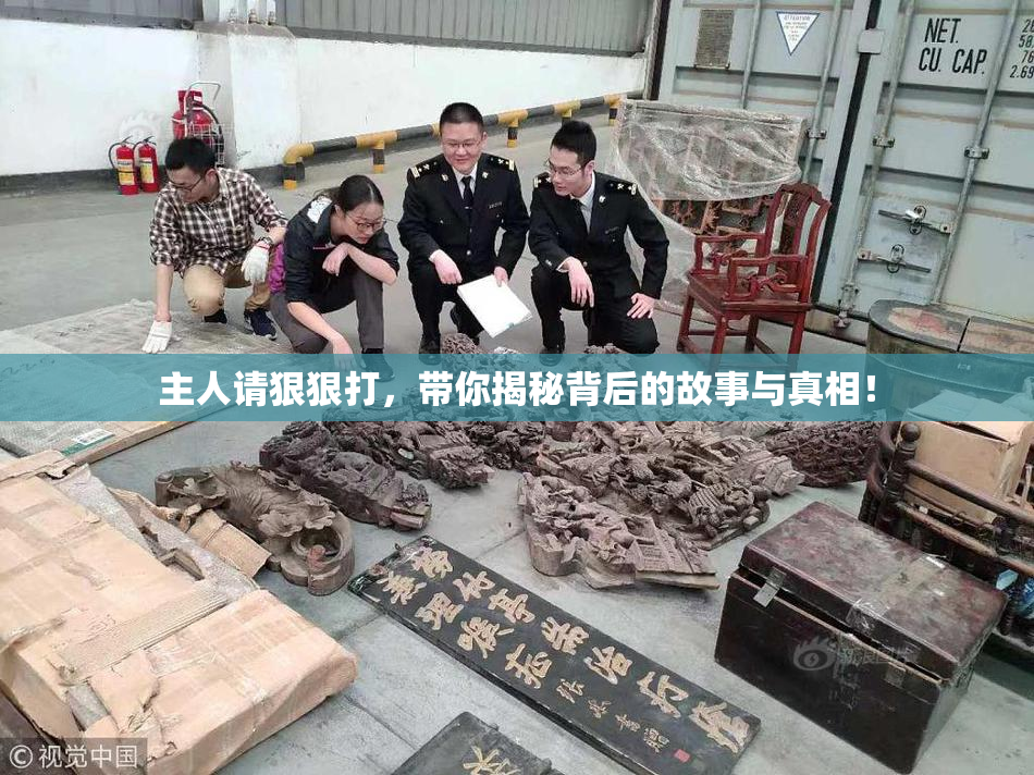 主人请狠狠打，带你揭秘背后的故事与真相！