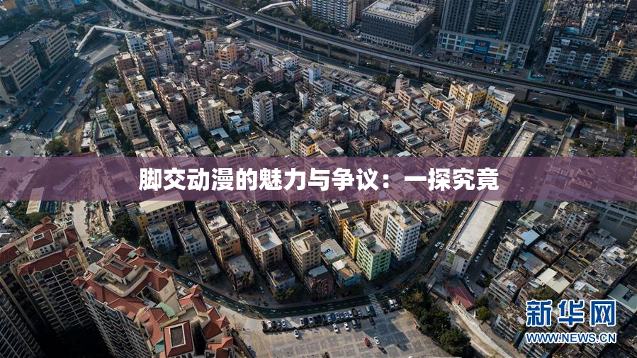 脚交动漫的魅力与争议：一探究竟