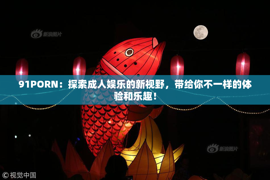 91PORN：探索成人娱乐的新视野，带给你不一样的体验和乐趣！