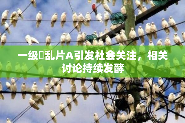 一级婬乱片A引发社会关注，相关讨论持续发酵