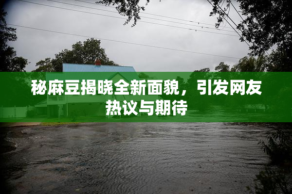 秘麻豆揭晓全新面貌，引发网友热议与期待