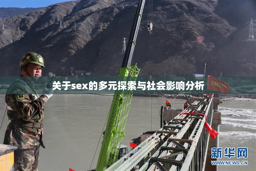 关于sex的多元探索与社会影响分析