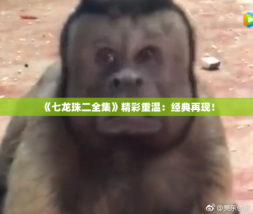 《七龙珠二全集》精彩重温：经典再现！