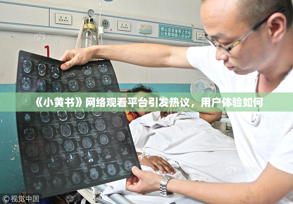 《小黄书》网络观看平台引发热议，用户体验如何