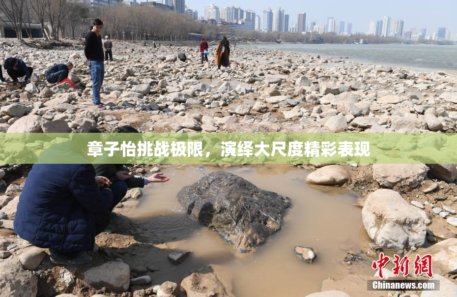 章子怡挑战极限，演绎大尺度精彩表现