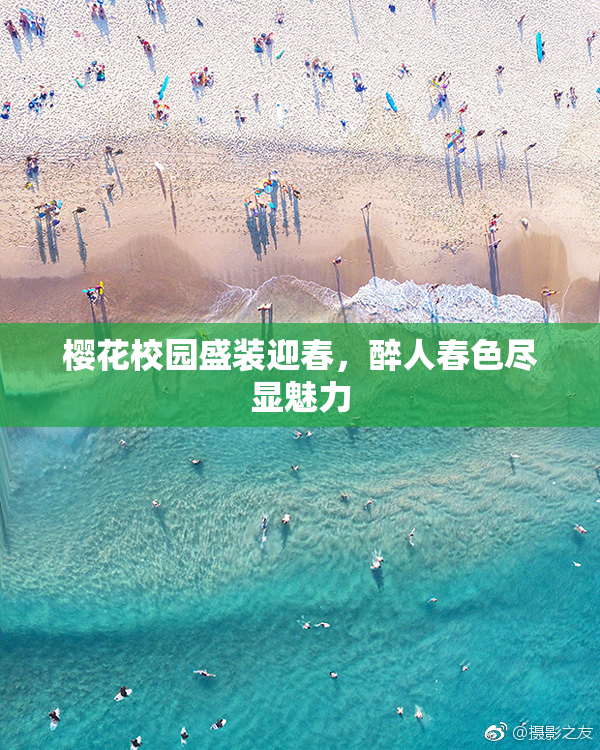 樱花校园盛装迎春，醉人春色尽显魅力
