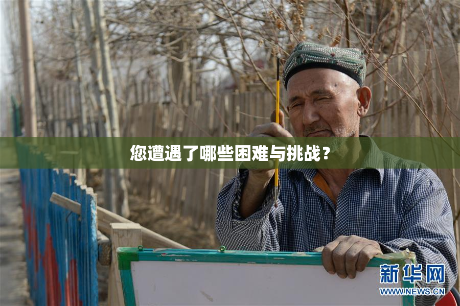 您遭遇了哪些困难与挑战？