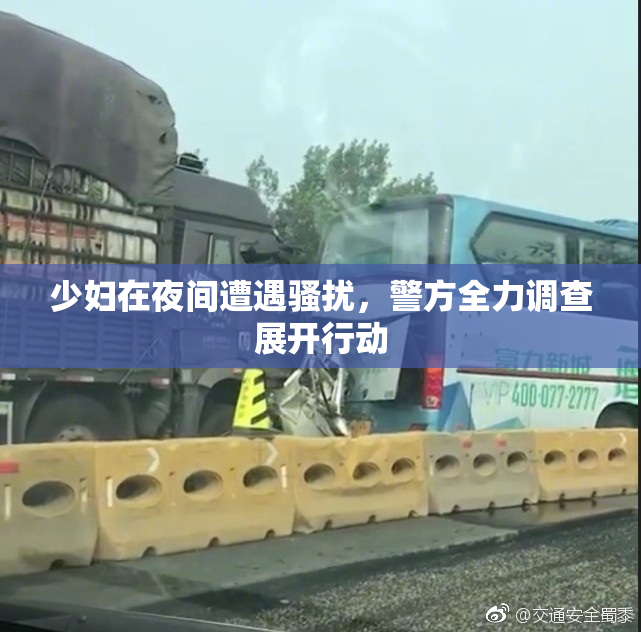少妇在夜间遭遇骚扰，警方全力调查展开行动