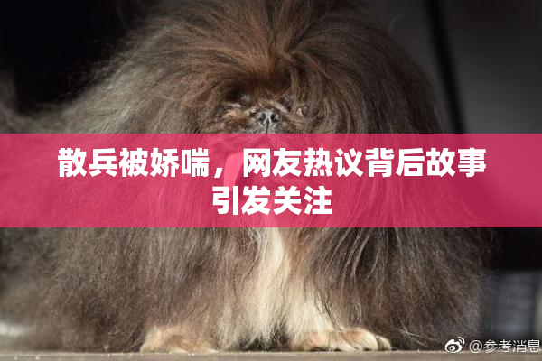 散兵被娇喘，网友热议背后故事引发关注
