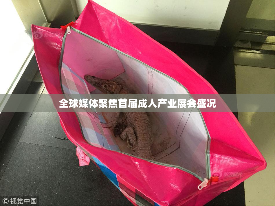 全球媒体聚焦首届成人产业展会盛况