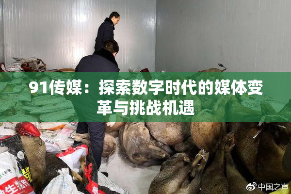 91传媒：探索数字时代的媒体变革与挑战机遇