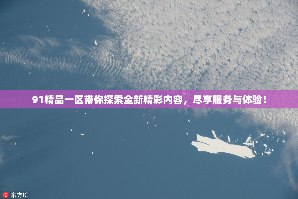 91精品一区带你探索全新精彩内容，尽享服务与体验！