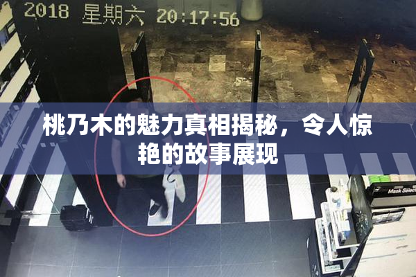 桃乃木的魅力真相揭秘，令人惊艳的故事展现