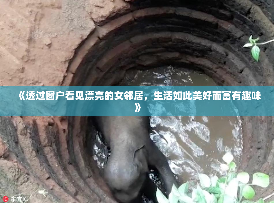 《透过窗户看见漂亮的女邻居，生活如此美好而富有趣味》