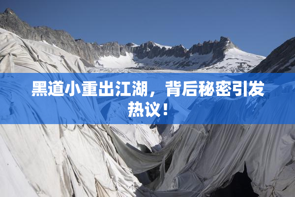 黑道小重出江湖，背后秘密引发热议！