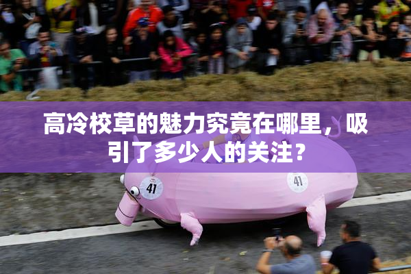 高冷校草的魅力究竟在哪里，吸引了多少人的关注？